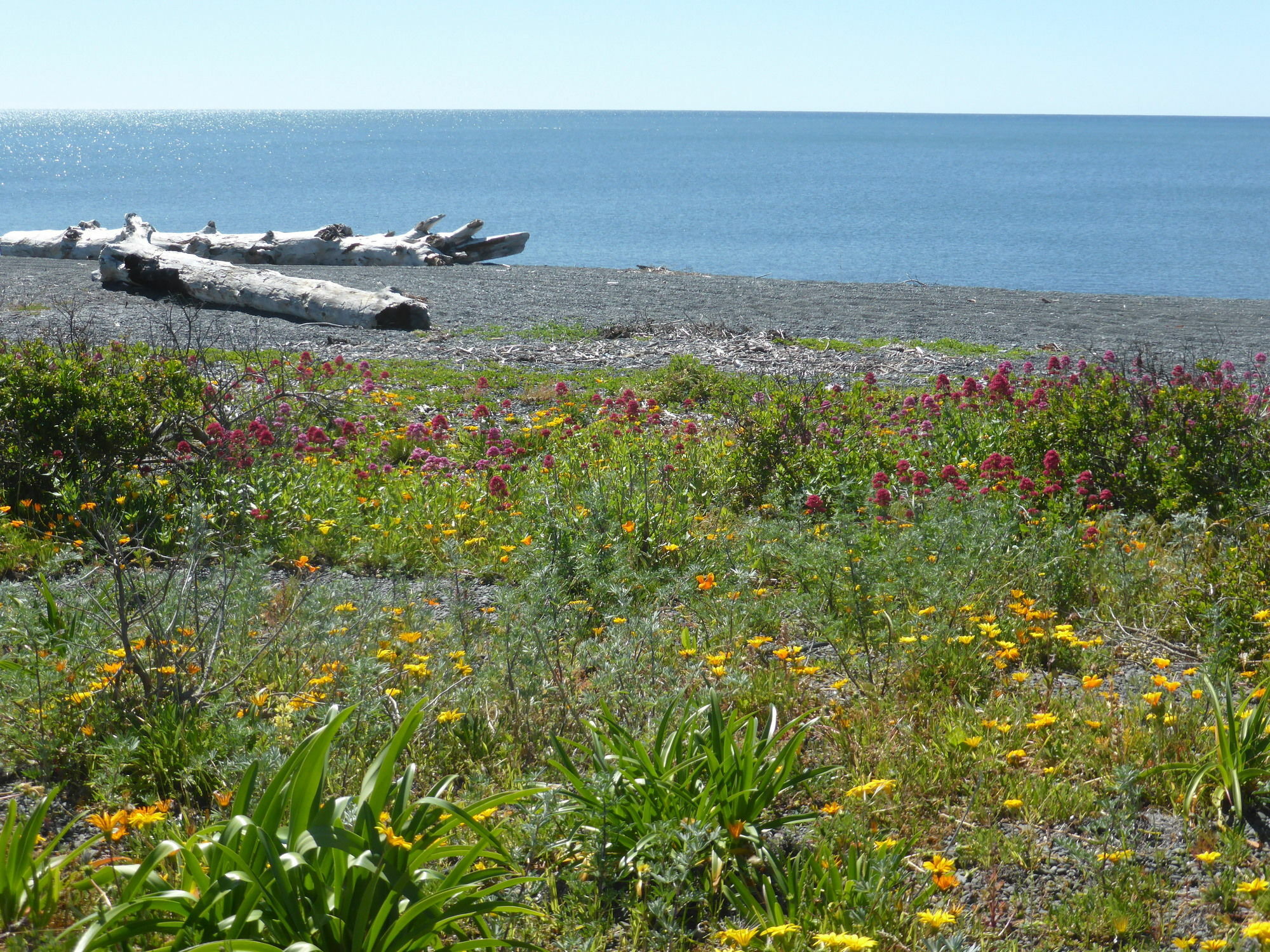 Napier Beach Top 10 Holiday Park & Motels Εξωτερικό φωτογραφία